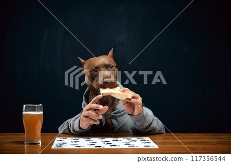 Brown pit bull with human body element eating cheese sandwich and drinking lager beer. Food and drinks, Oktoberfest, party, pub and restaurant. Brown pit bull with human body element eating cheese sandwich and drinking lager beer. Food and drinks, Oktoberfest, party, pub and restaurant. 117356544