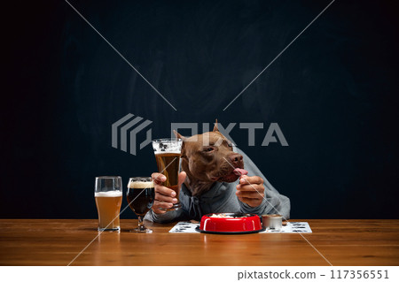 Brown pit bull with human body element wearing gray hoodie, sitting at wooden desk with glasses of various beer and bowl of food. Drinks and food 117356551