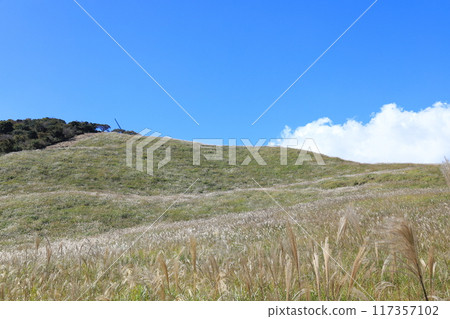 東伊豆町細野高原薄木19 117357102