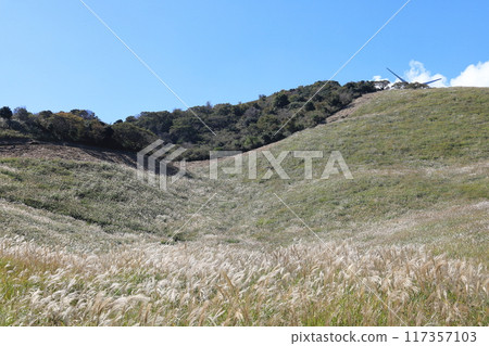 東伊豆町細野高原薄木20 117357103