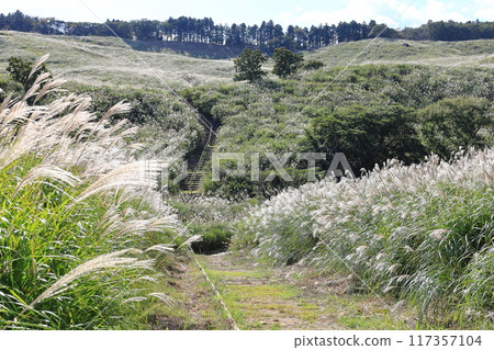 東伊豆町細野高原薄木11 117357104