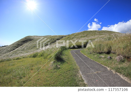 東伊豆町細野高原薄木13 117357106