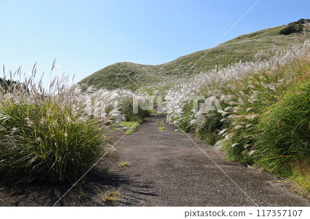 東伊豆町細野高原薄木14 117357107