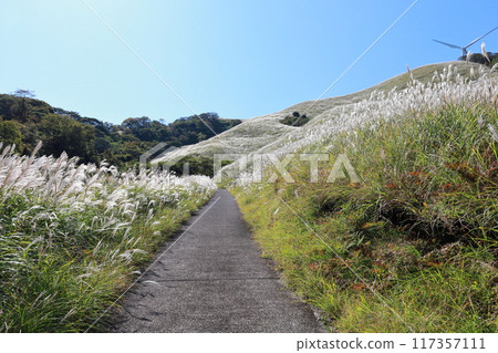 東伊豆町細野高原薄木17 117357111