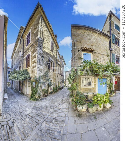 a couple of buildings with plants in the center of a cobble stone street a couple of buildings with plants in the center of a cobble stone street 117357220