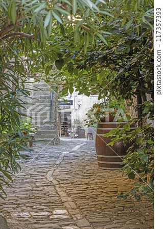 the stone alley leading up to the stairs has barrels with plants the stone alley leading up to the stairs has barrels with plants 117357393