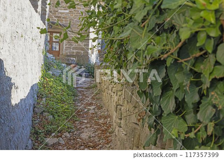Picture from the town of Groznjan with idyllic cobbled streets and buildings made of natural stone Picture from the town of Groznjan with idyllic cobbled streets and buildings made of natural stone 117357399