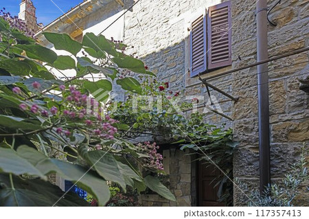 the house is next to a bushy garden and shrubbery the house is next to a bushy garden and shrubbery 117357413