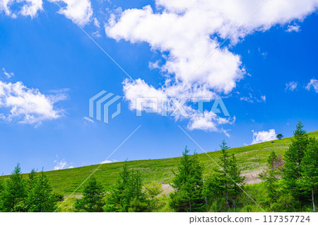 Summer Cars Mountains 117357724