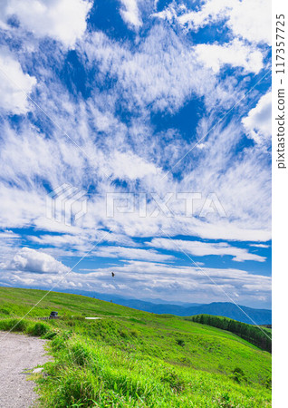 夏天的車山高原，猛禽飛翔 117357725