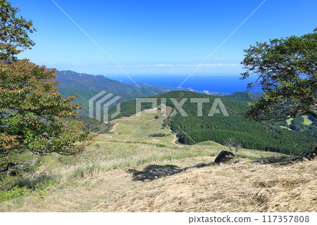 東伊豆町細野高原薄木21 117357808