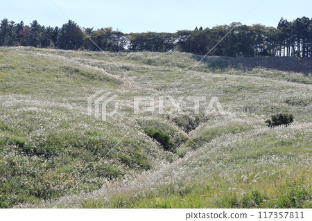 東伊豆町細野高原Susuki 24 117357811