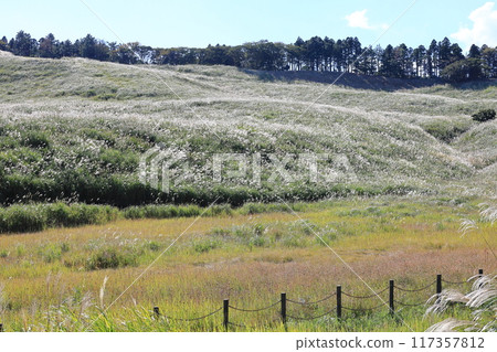 東伊豆町細野高原薄木25 117357812