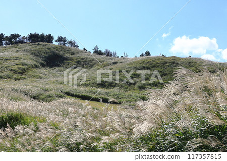 東伊豆町細野高原薄木27 117357815