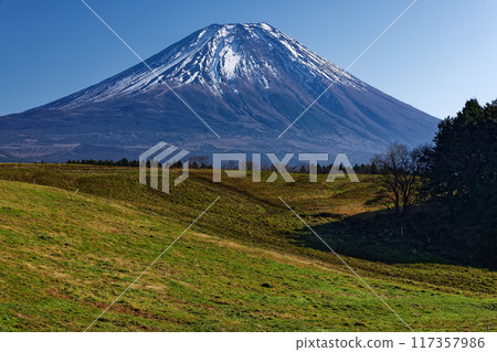 冬天從朝霧高原的草地上看到的富士山 117357986