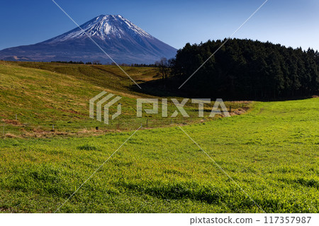 Mount Fuji seen from the pastures of Asagiri Plateau in winter 117357987
