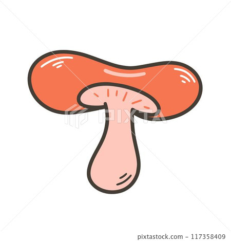 Mushroom saffron isolated on white background 117358409