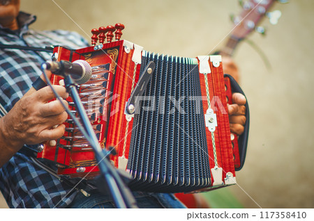Diatonic accordion player 117358410
