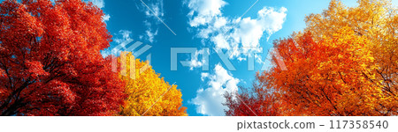 陽光明媚的秋天和秋葉的風景 117358540
