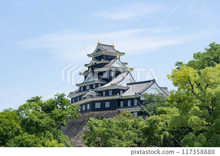 Okayama Castle Okayama Castle 117358880