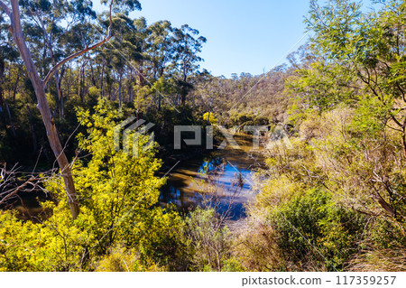Blue Tongue Bend Walk in Warrandyte Melbourne Australia 117359257