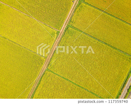Aerial view of a golden rural area Aerial view of a golden rural area 117359740