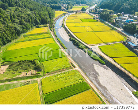 Aerial view of a golden rural area 117359772