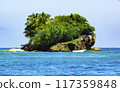 Uninhabited Island, Samana Bay, Dominican Republic 117359848