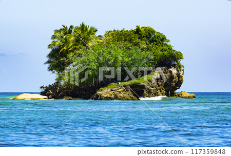 Uninhabited Island, Samana Bay, Dominican Republic 117359848