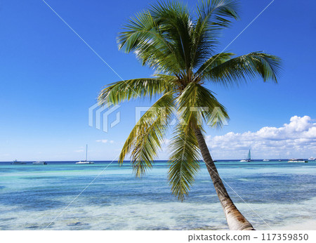 Tropical Beach in Catuano, Dominican Republic 117359850