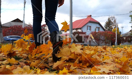 Legs of young woman stepping on yellow foliage at park. Female feet in boots going on fallen maple leaves at parkland. Girl walking at parkland at autumn season on cloudy day. Close up Slow motion Legs of young woman stepping on yellow foliage at park. Female feet in boots going on fallen maple leaves at parkland. Girl walking at parkland at autumn season on cloudy day. Close up Slow motion 117360031