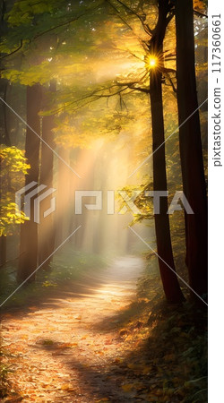 Serene Forest Bathed in the Glow of Dawn 117360661