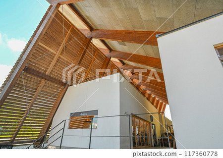 summer vision summer vision 117360778