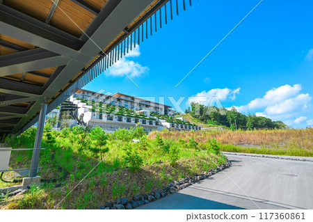 夏日願景 117360861