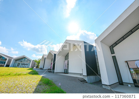 summer vision summer vision 117360871