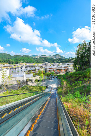 summer vision 117360929