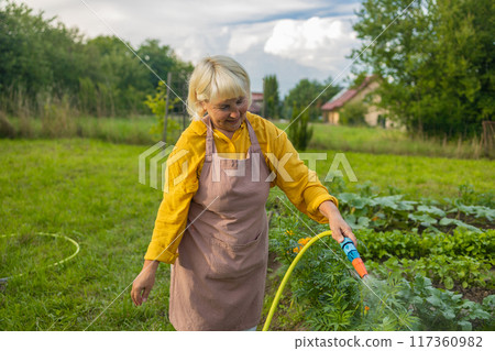 Senior woman watering fresh plants growing at home vegetable garden. Gardener taking care of plants at the backyard of her house. Concept of sustainability and growing organic 117360982