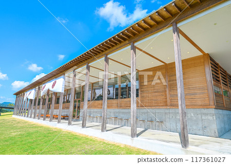 summer vision 117361027