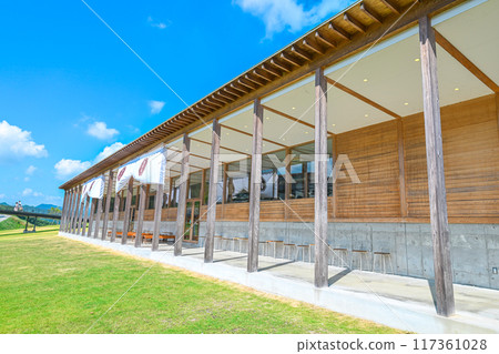 summer vision 117361028