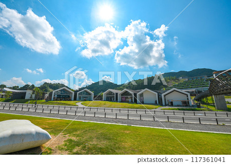 summer vision 117361041