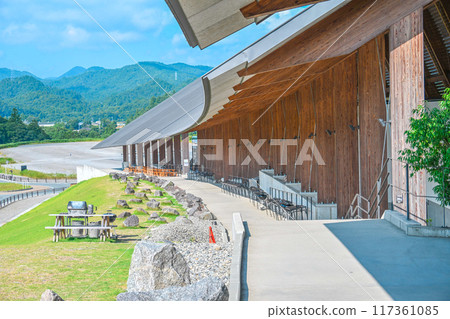 summer vision 117361085