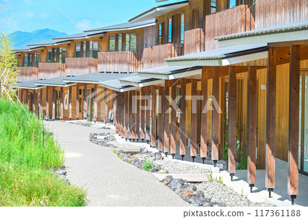 summer vision 117361188