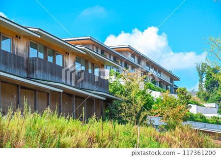 夏日願景 夏日願景 117361200