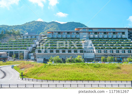 夏日願景 夏日願景 117361267