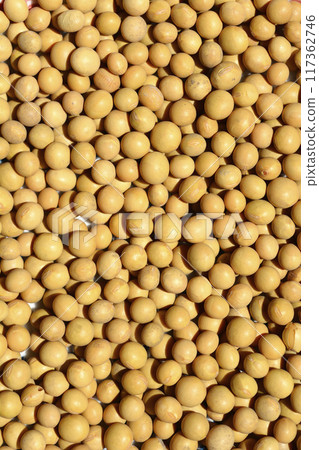 Dry soybeans Dry soybeans 117362746