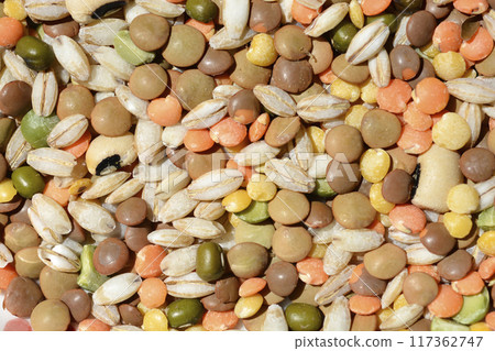 Dry uncooked grains and legumes Dry uncooked grains and legumes 117362747