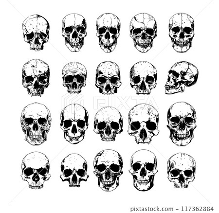 Human skulls Ink sketch vector collection. Cranium bones remains skeletal jaws crypt spooky tattoo burial deceased anatomy isolated monochrome illustrations on white backdrop 117362884