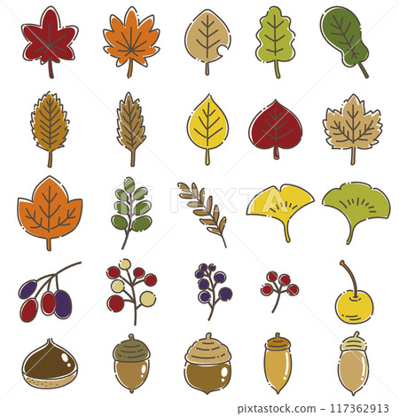 A loose illustration (set) of autumn leaves and autumn nuts A loose illustration (set) of autumn leaves and autumn nuts 117362913
