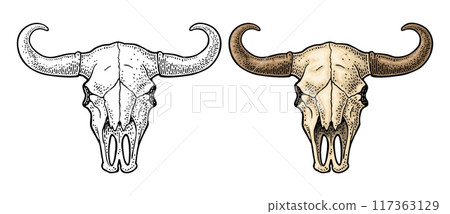 Bull skull with horns. Vintage color vector engraving illustration 117363129