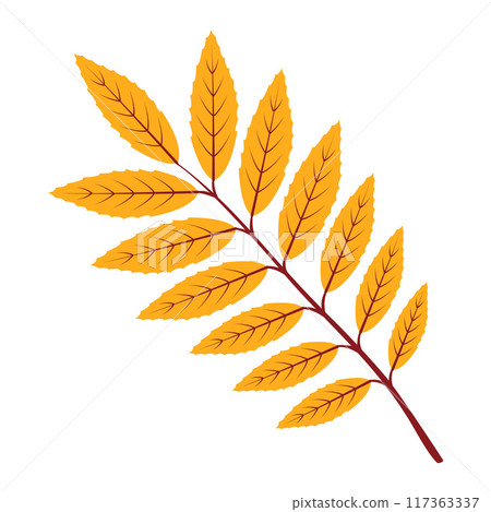 Autumn rowan leaf. Hand drawn trendy flat style isolated  117363337